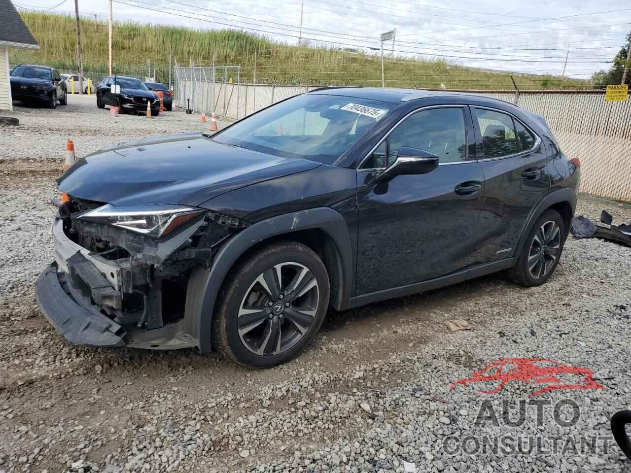LEXUS UX 250H 2019 - JTHU9JBH7K2000356