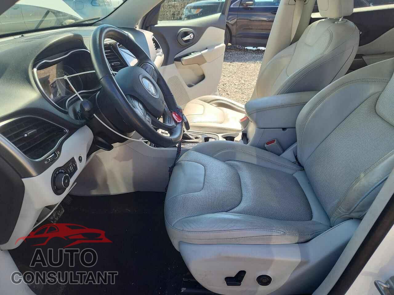 JEEP CHEROKEE 2019 - 1C4PJLDB1KD110303