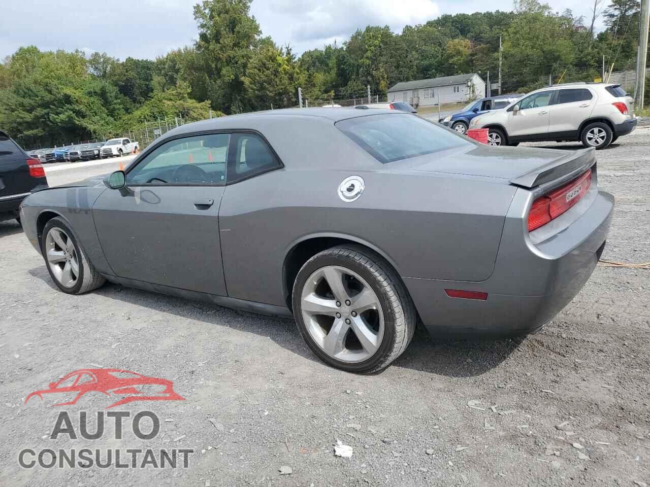 DODGE CHALLENGER 2012 - 2C3CDYBT3CH227887