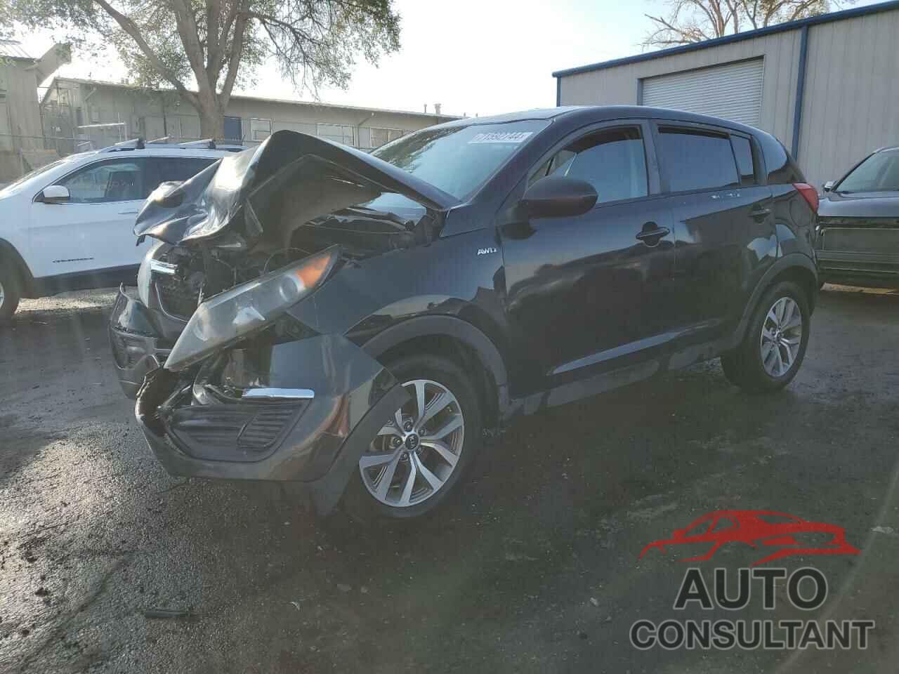 KIA SPORTAGE 2016 - KNDPBCAC9G7878479