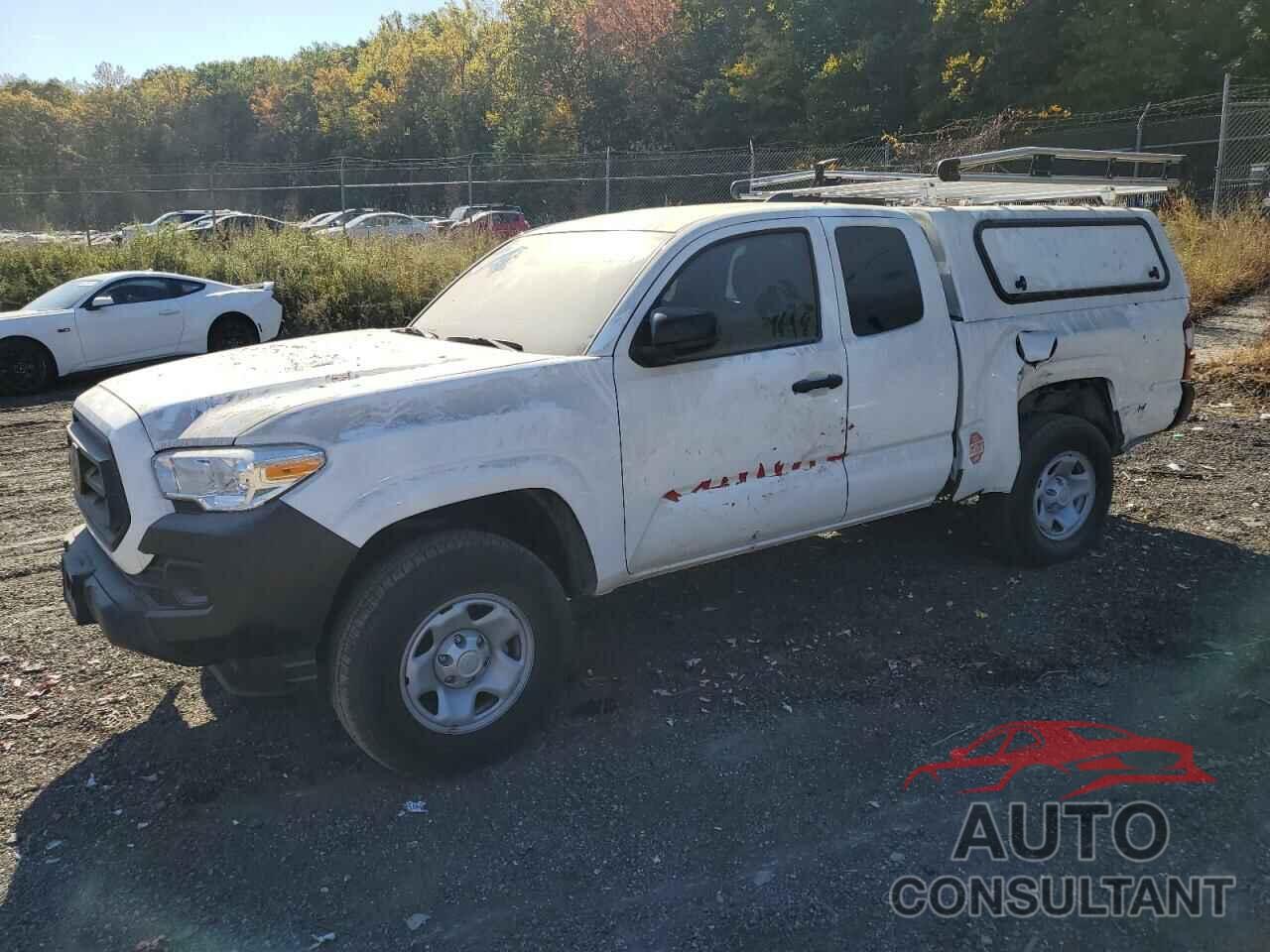 TOYOTA TACOMA 2023 - 3TYRX5GN1PT084004