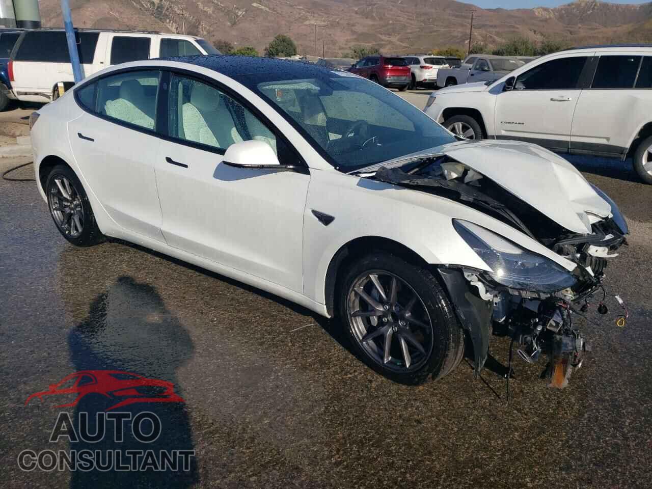 TESLA MODEL 3 2021 - 5YJ3E1EA2MF873424