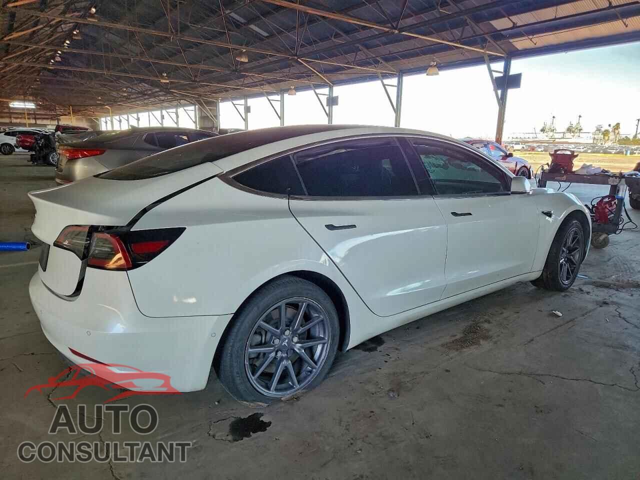 TESLA MODEL 3 2019 - 5YJ3E1EA1KF299721