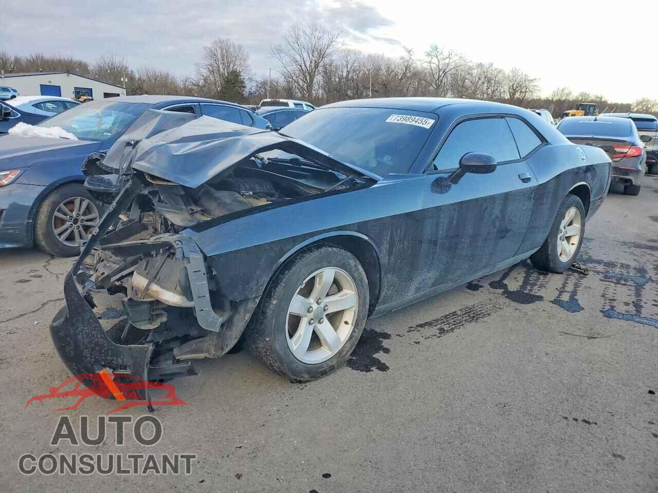 DODGE CHALLENGER 2013 - 2C3CDYAG4DH607665