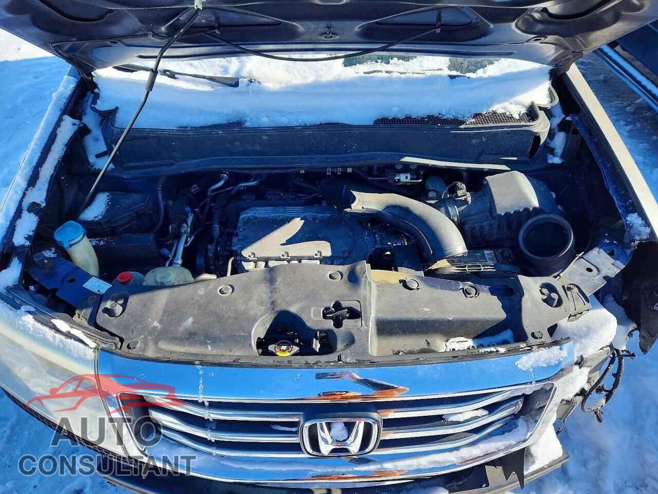 HONDA PILOT 2013 - 5FNYF4H76DB071818