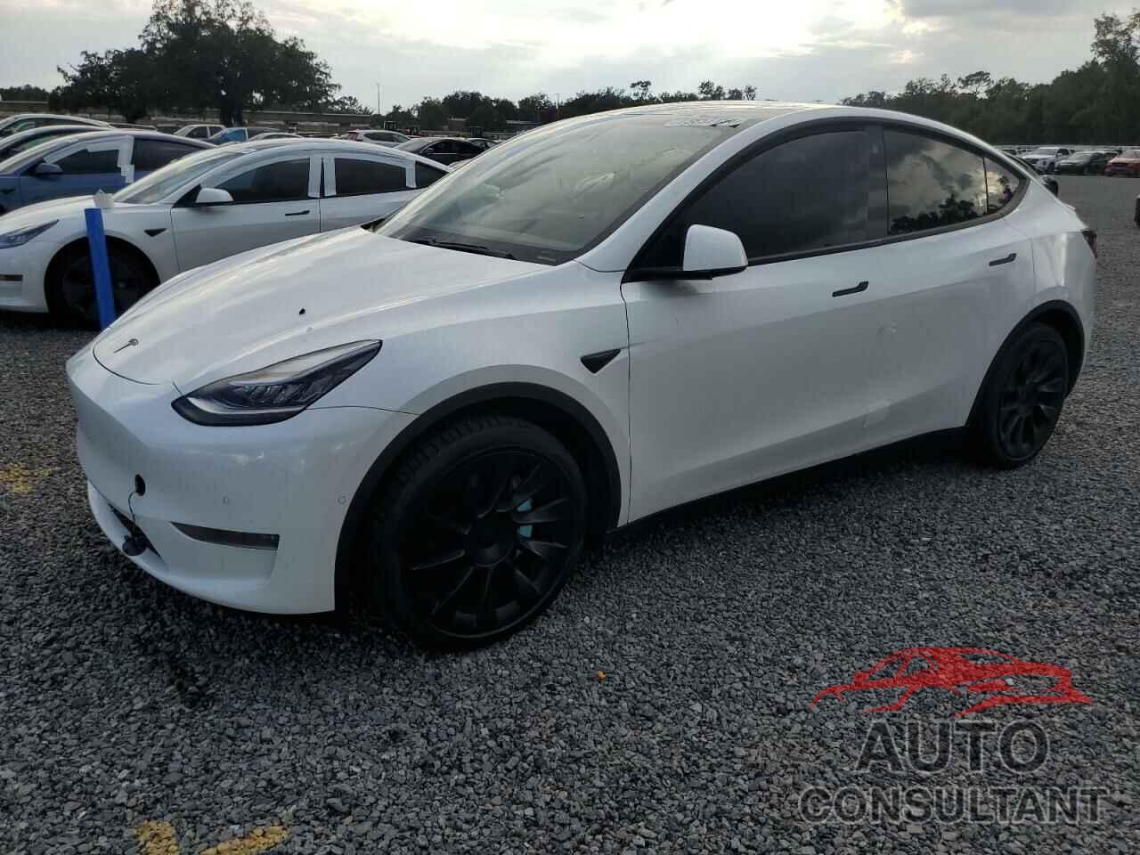 TESLA MODEL Y 2021 - 5YJYGDEE7MF062061