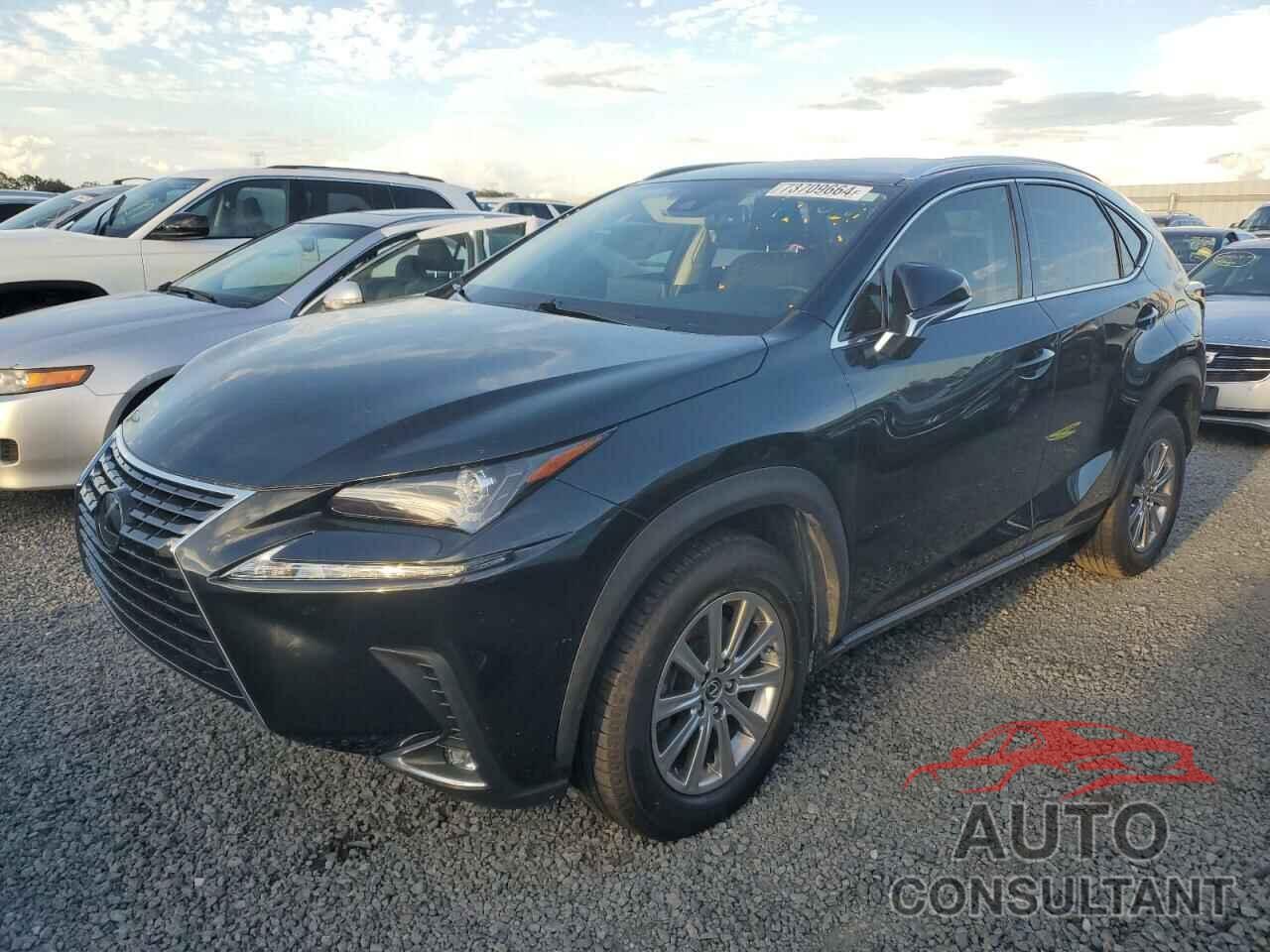 LEXUS NX 2020 - JTJAARBZ6L5008559