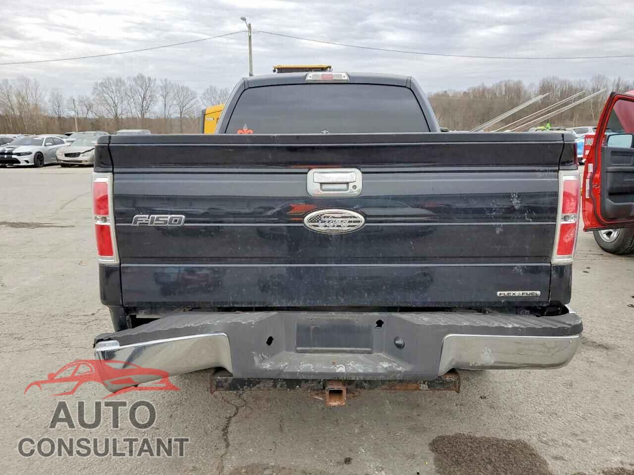 FORD F-150 2011 - 1FTFX1CF3BFD05410