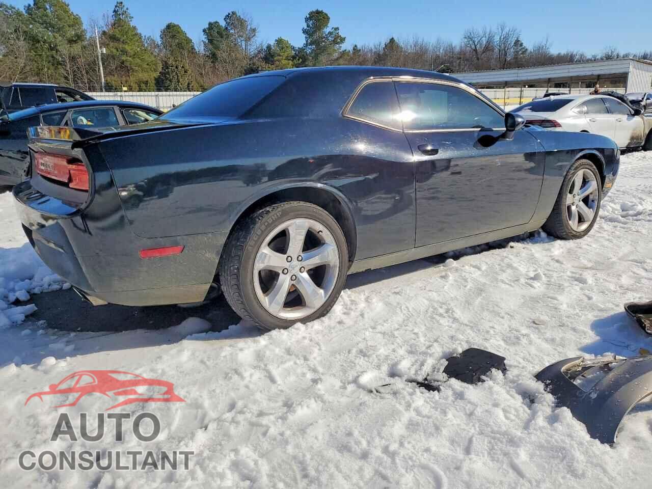 DODGE CHALLENGER 2013 - 2C3CDYAG3DH663225