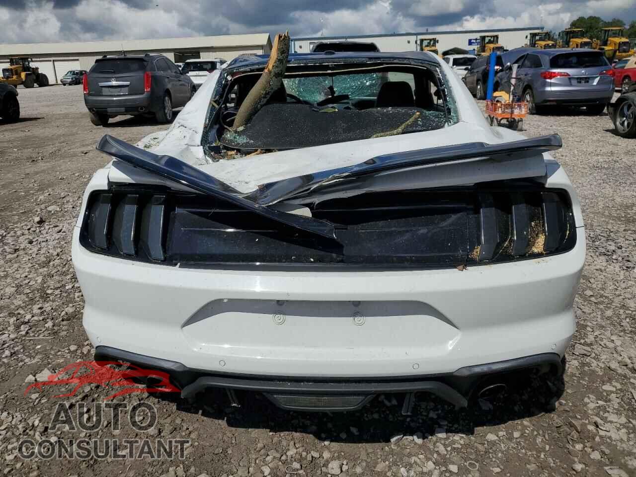 FORD MUSTANG 2019 - 1FA6P8CF6K5199619