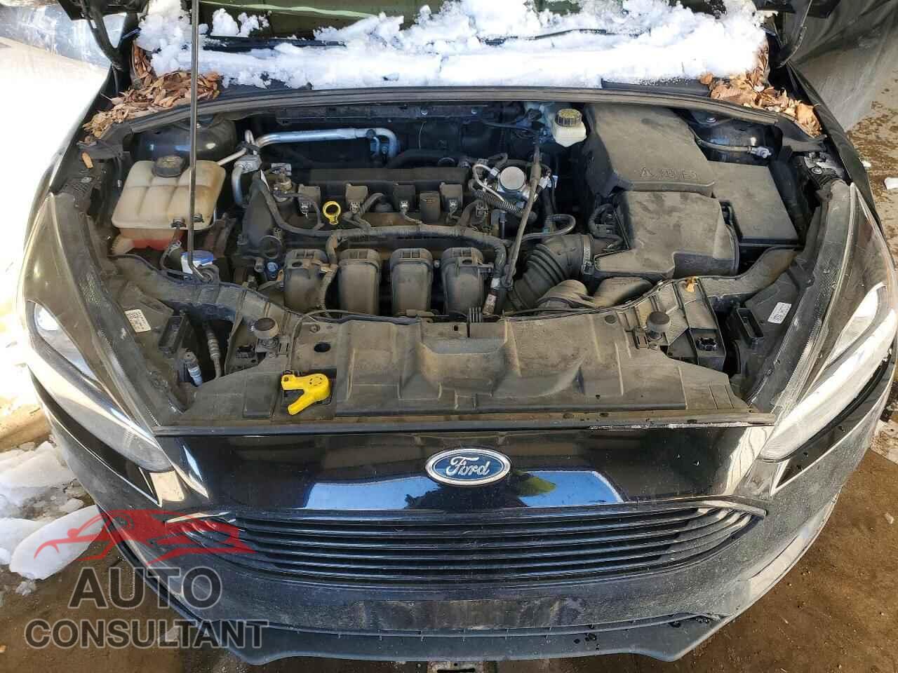 FORD FOCUS 2017 - 1FADP3H29HL242564