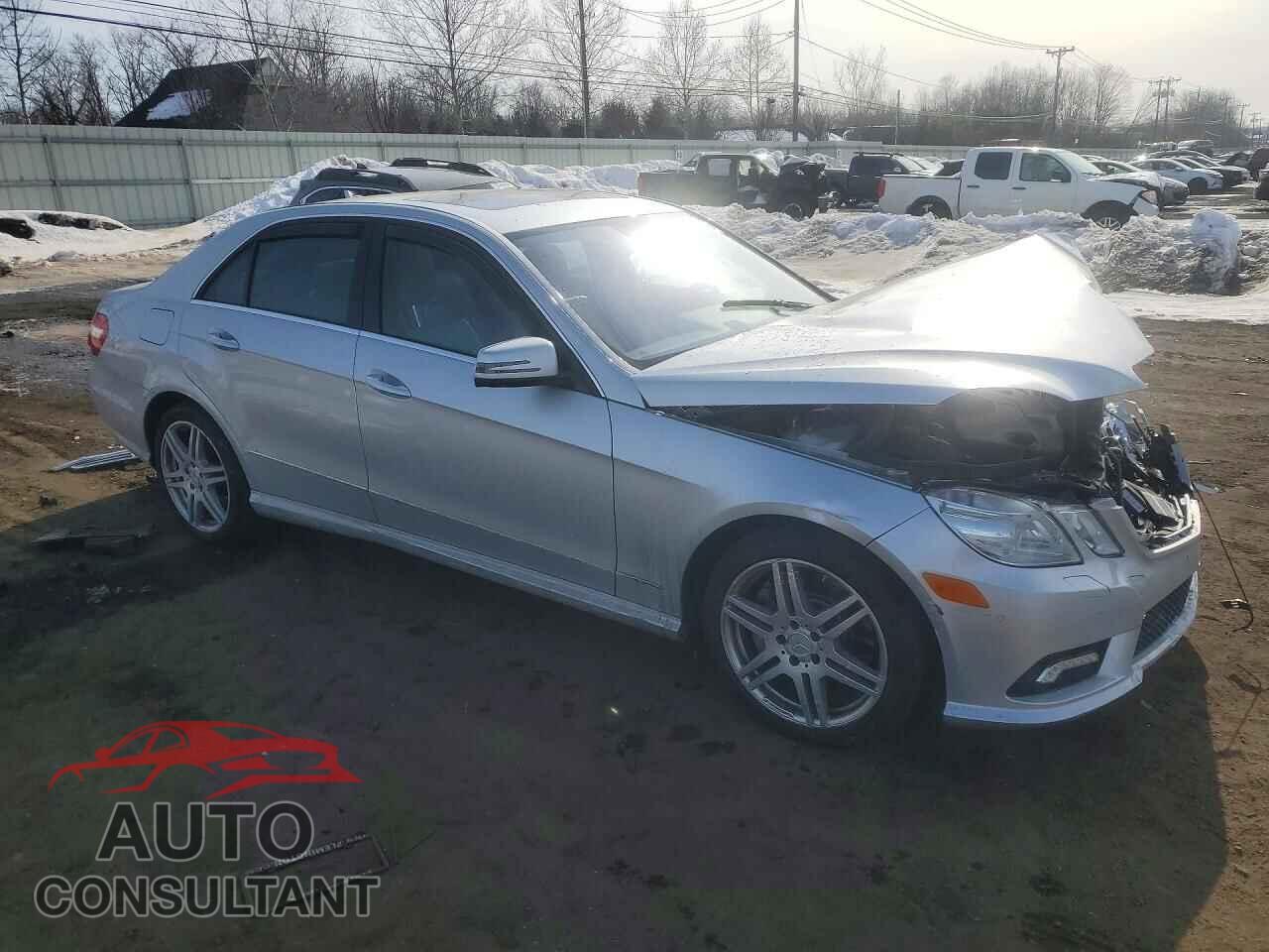 MERCEDES-BENZ E-CLASS 2010 - WDDHF9ABXAA194561