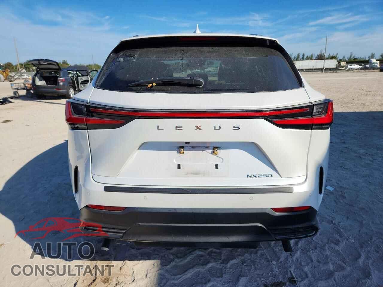 LEXUS NX 250 PRE 2024 - 2T2GDCAZ2RC012084