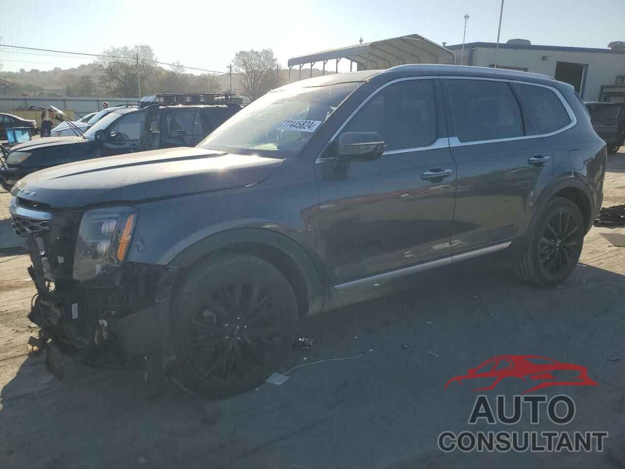 KIA TELLURIDE 2021 - 5XYP54HC0MG131435