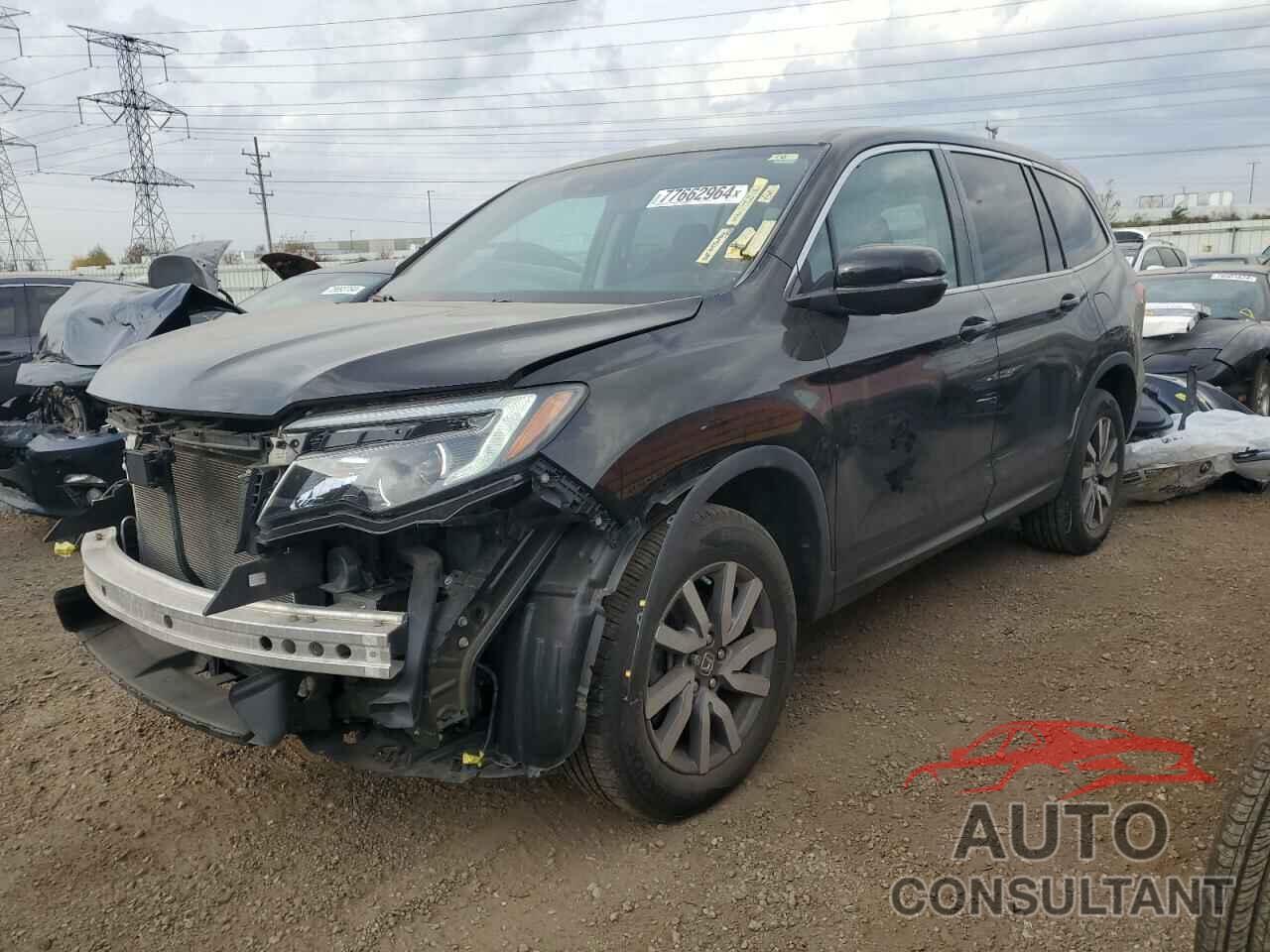 HONDA PILOT 2019 - 5FNYF6H5XKB095773