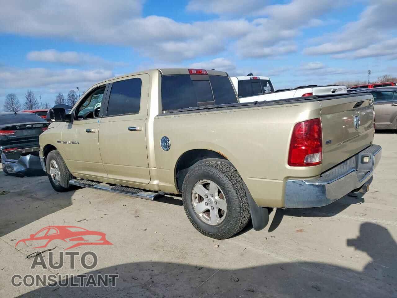 DODGE All Models 2011 - 1D7RB1CT0BS514960