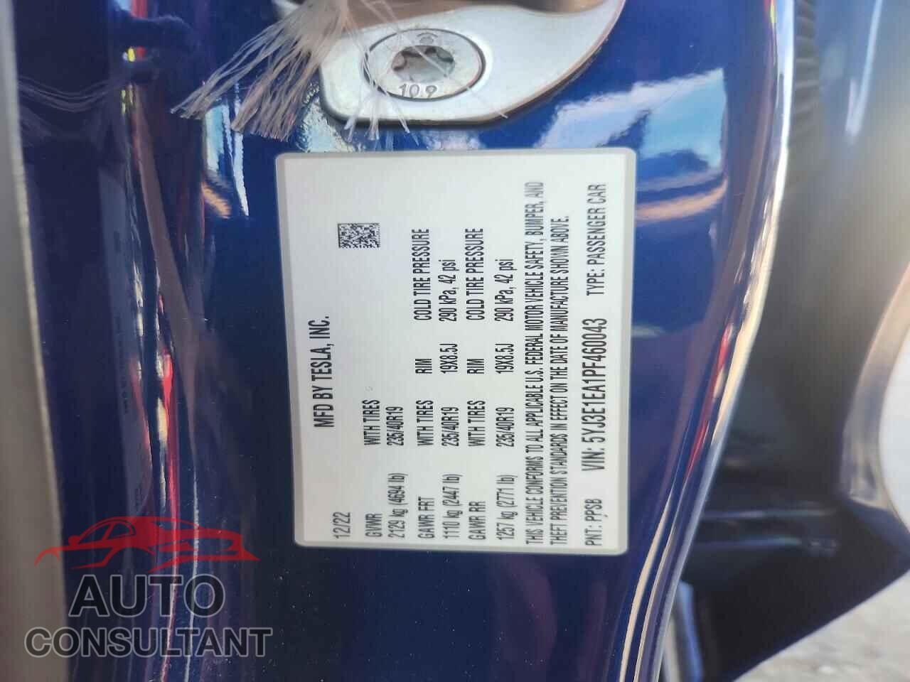 TESLA MODEL 3 2023 - 5YJ3E1EA1PF460043