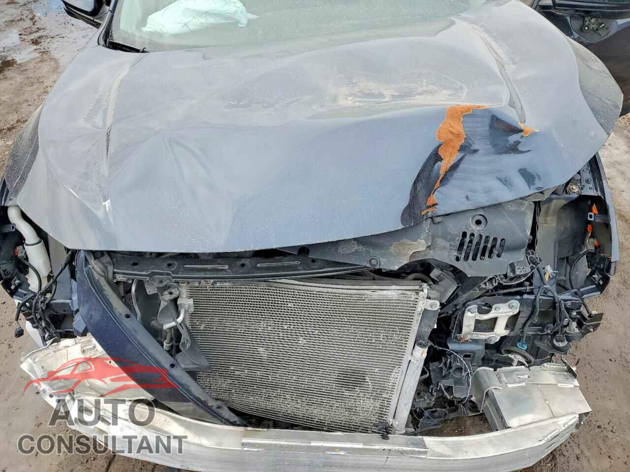 HONDA CIVIC 2019 - 2HGFC2F75KH011898