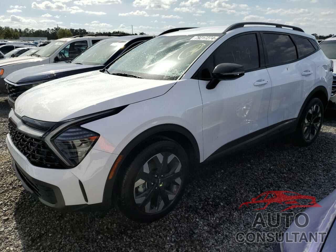 KIA SPORTAGE X 2024 - 5XYK6CDF6RG208379