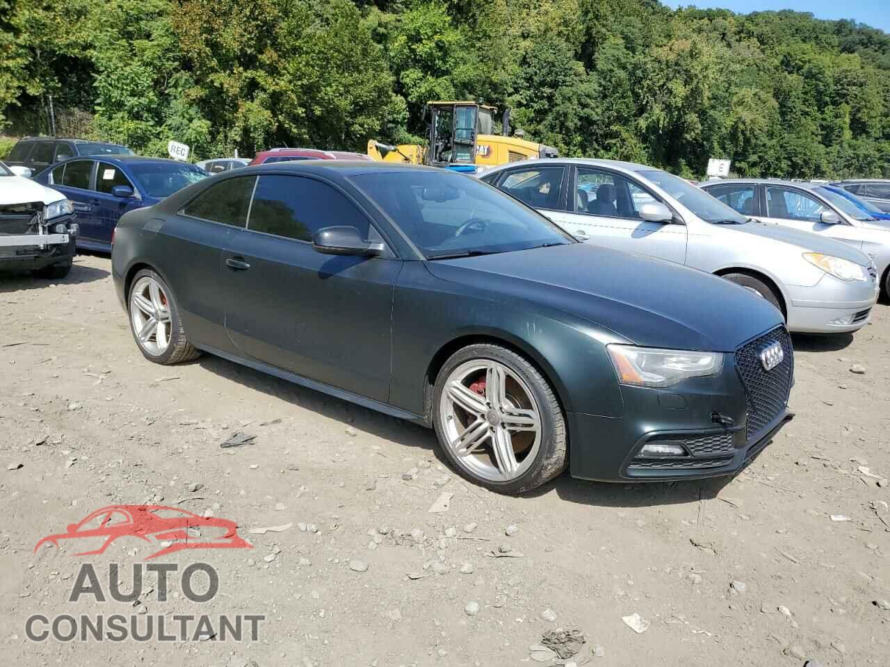 AUDI S5/RS5 2013 - WAUCGAFR9DA013914