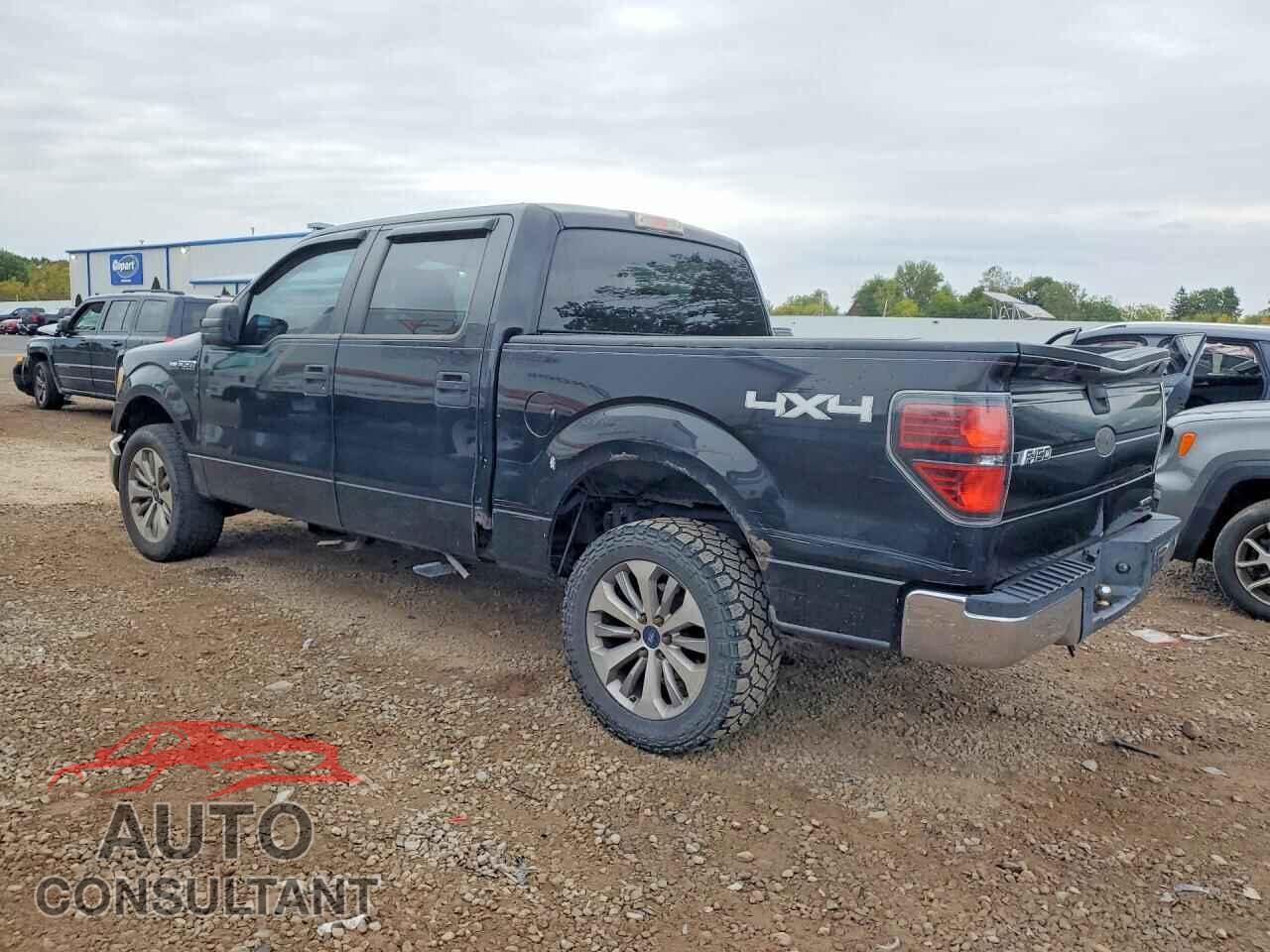 FORD F150 2011 - 1FTFW1EF2BKD04773