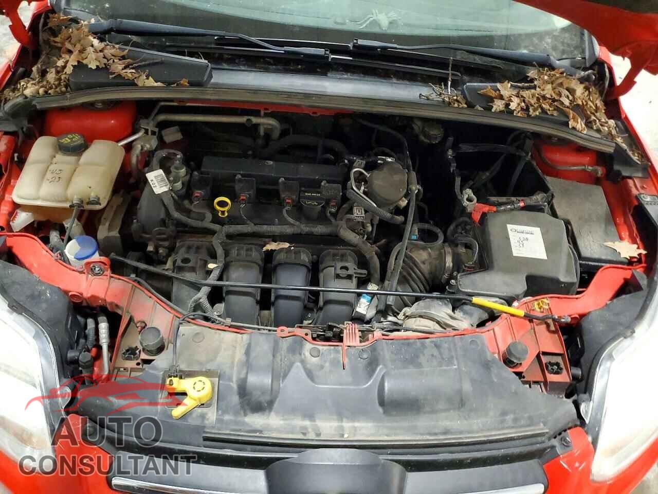FORD FOCUS 2014 - 1FADP3F23EL227461
