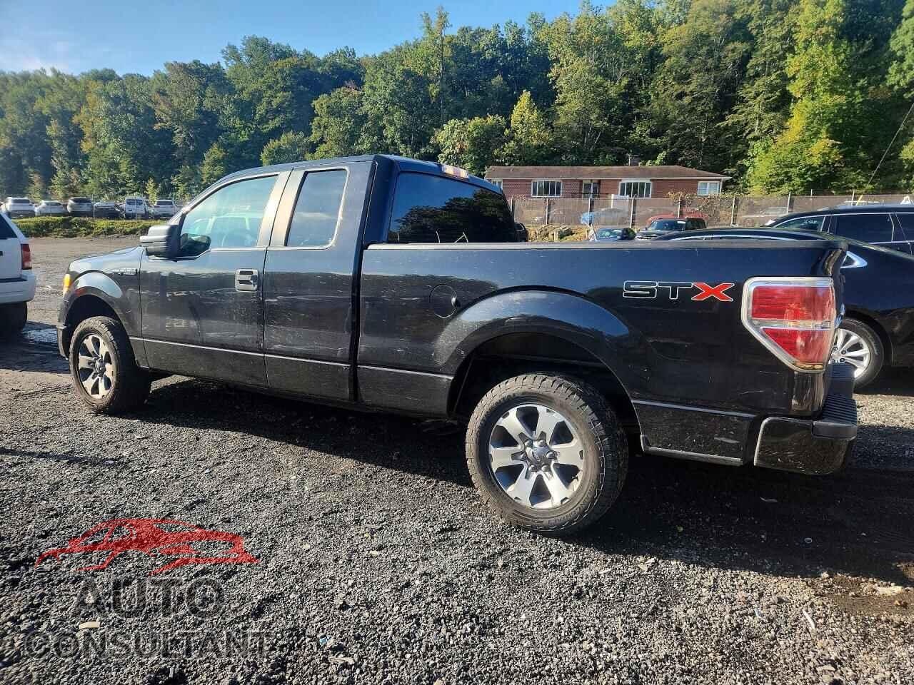 FORD F150 2013 - 1FTFX1CF6DFD95607