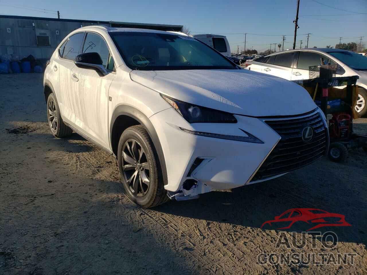 LEXUS NX 2019 - JTJYARBZ5K2118517