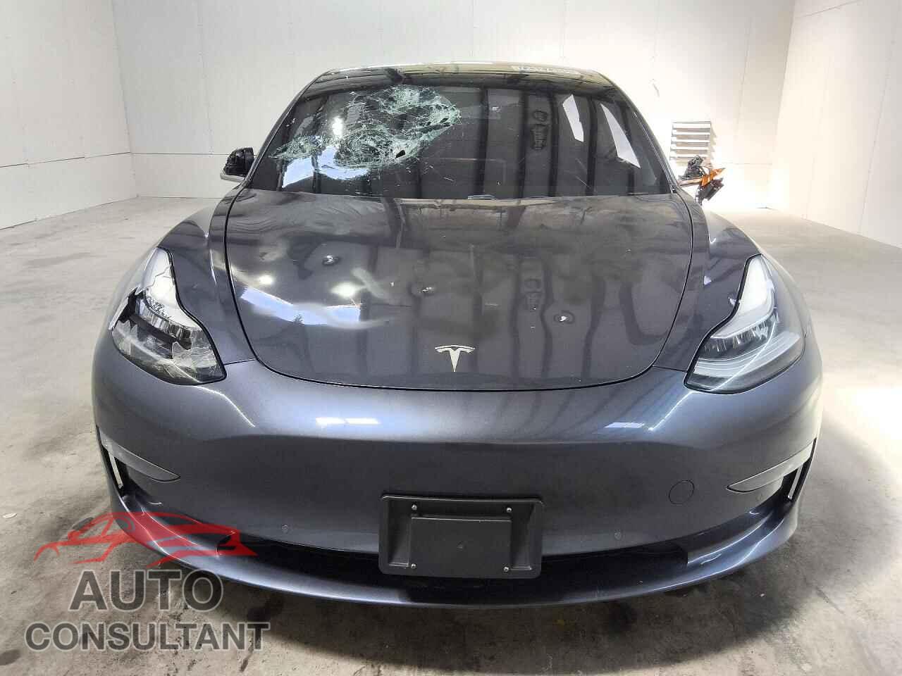TESLA MODEL 3 2019 - 5YJ3E1EA4KF317175