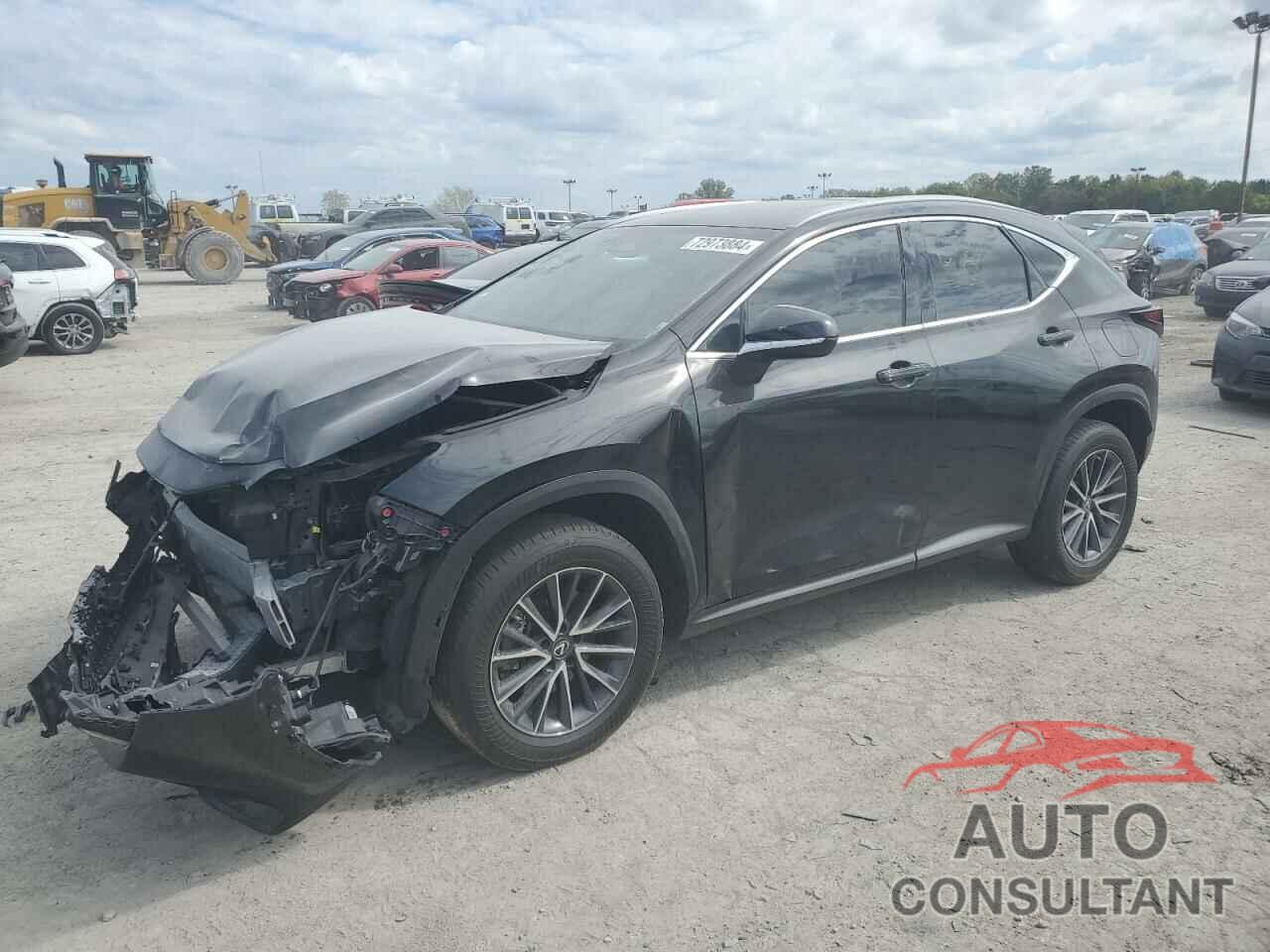 LEXUS NX 250 2023 - 2T2GDCEZ3PC003028