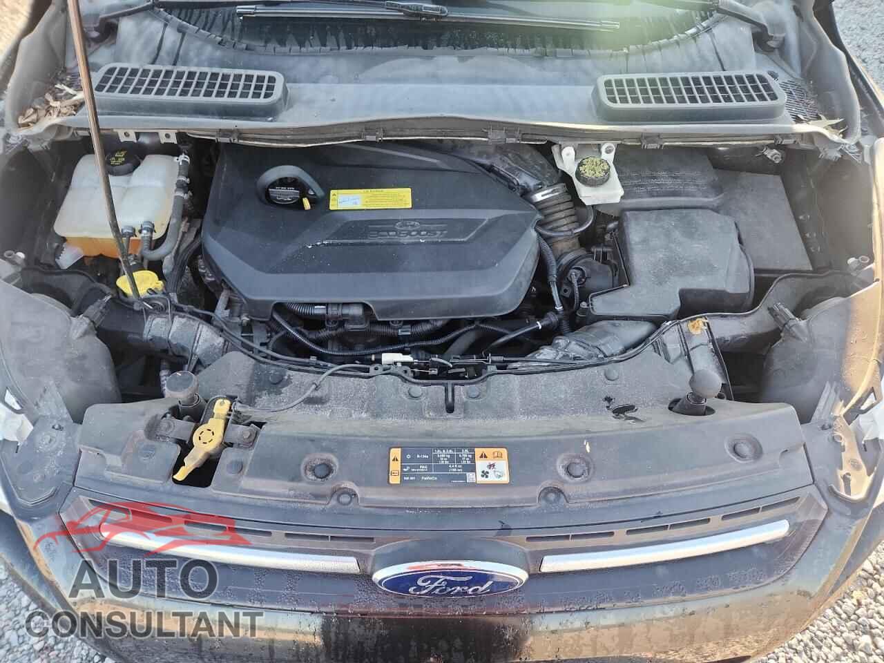 FORD ESCAPE 2014 - 1FMCU0GX5EUC65058