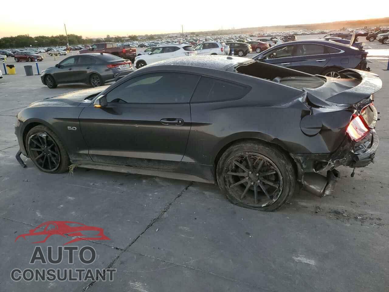 FORD MUSTANG 2019 - 1FA6P8CF1K5117912