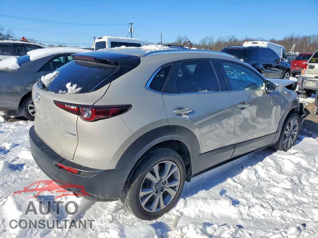 MAZDA CX30 2024 - 3MVDMBCM9RM627062