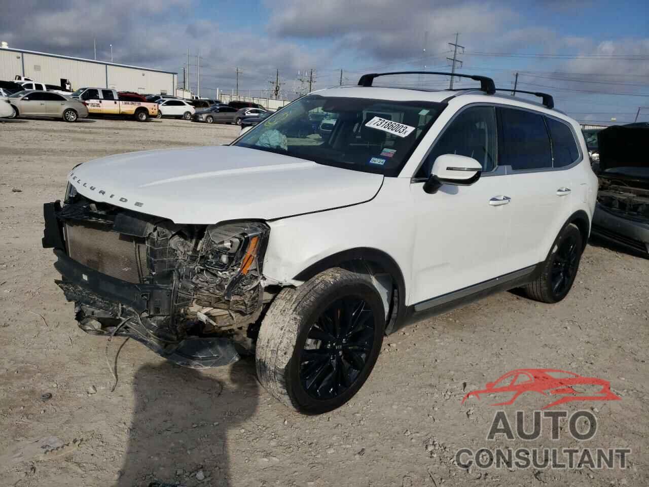 KIA TELLURIDE 2020 - 5XYP5DHC6LG024016