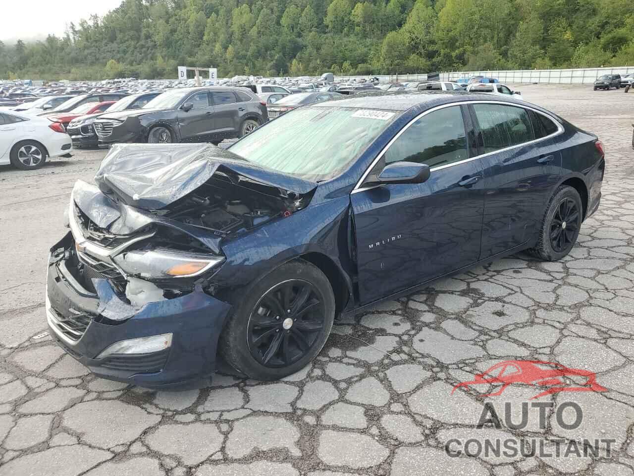 CHEVROLET MALIBU 2019 - 1G1ZD5ST7KF207686