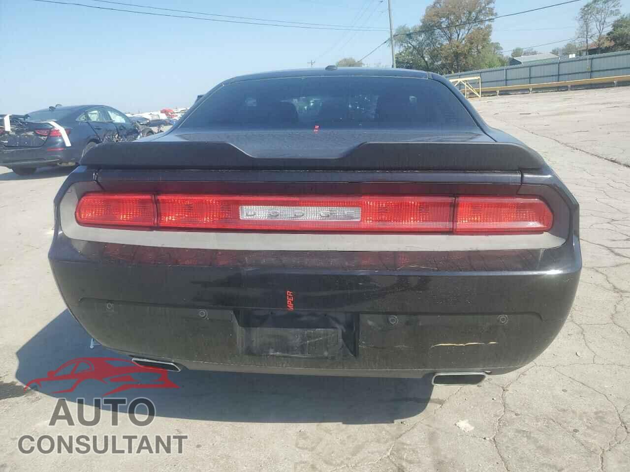 DODGE CHALLENGER 2013 - 2C3CDYAG9DH723847
