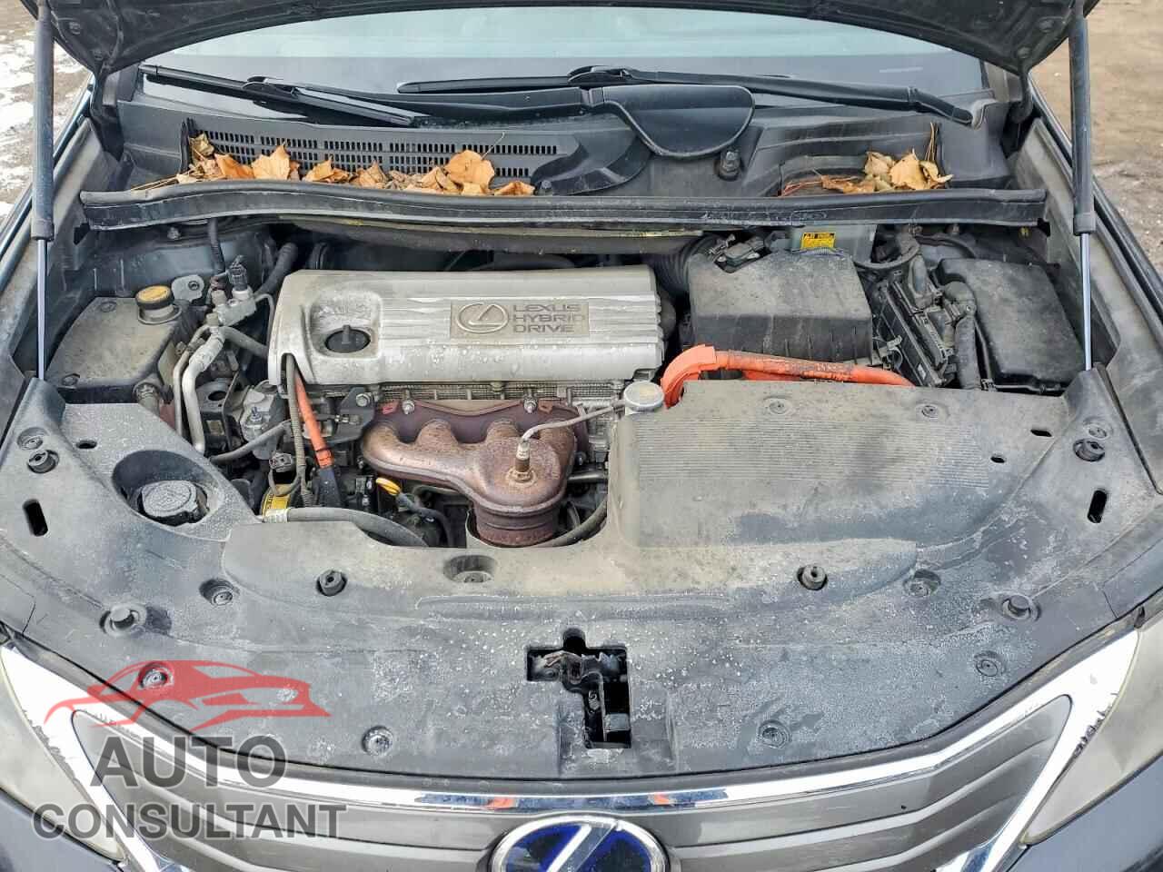 LEXUS HS 2010 - JTHBB1BA1A2020440