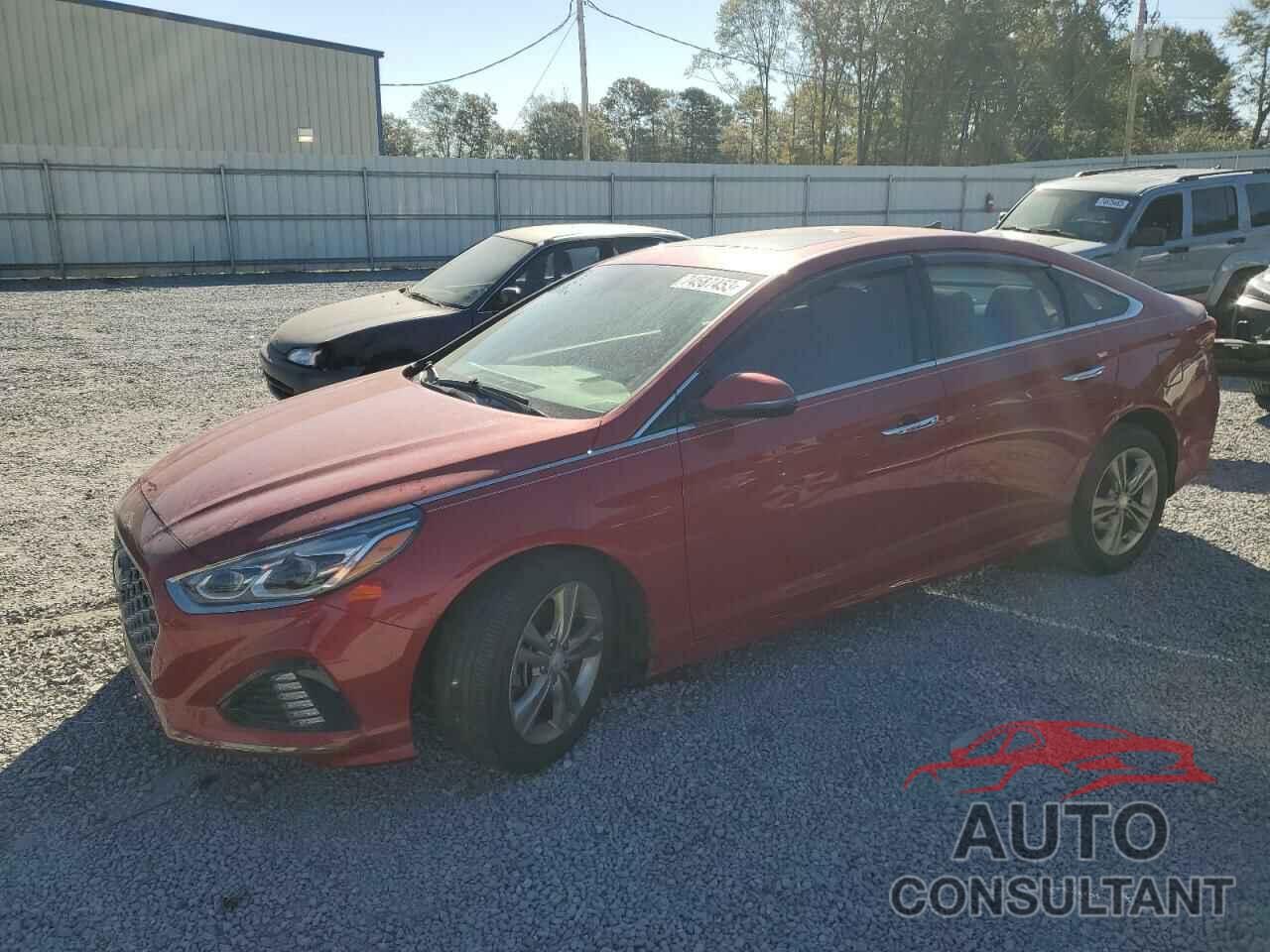 HYUNDAI SONATA 2019 - 5NPE34AF1KH768311