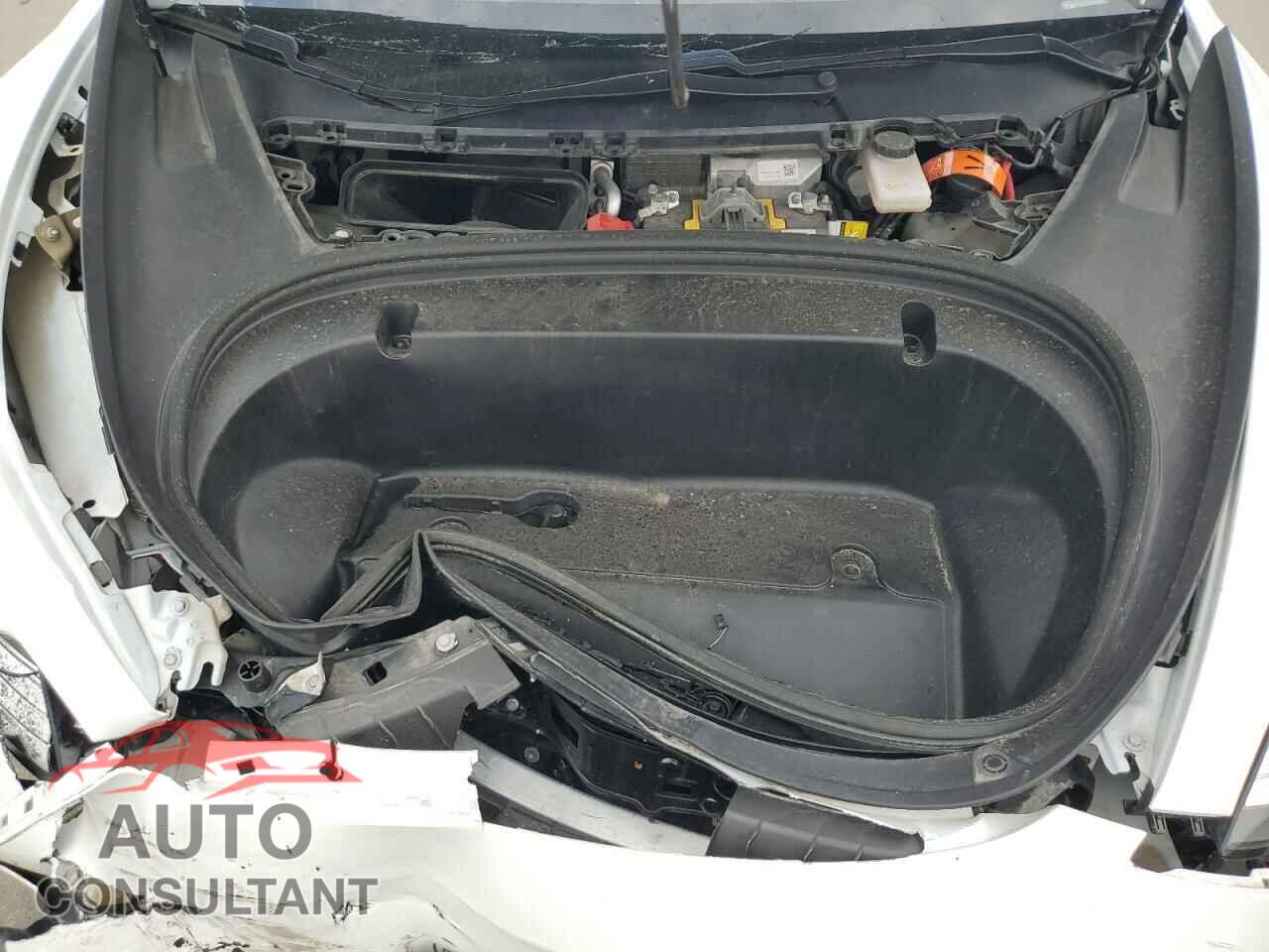TESLA MODEL 3 2020 - 5YJ3E1EA8LF613558