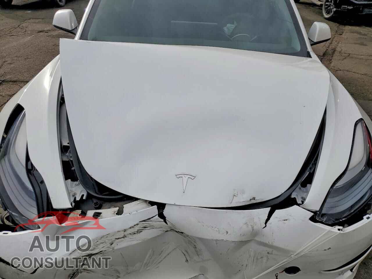 TESLA MODEL 3 2021 - 5YJ3E1EB2MF010079