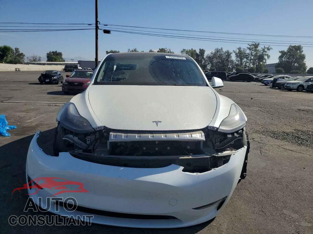 TESLA MODEL Y 2024 - 7SAYGDEE2RF067145