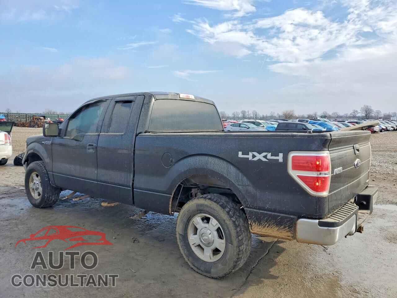 FORD F-150 2012 - 1FTFX1EF3CFD09441