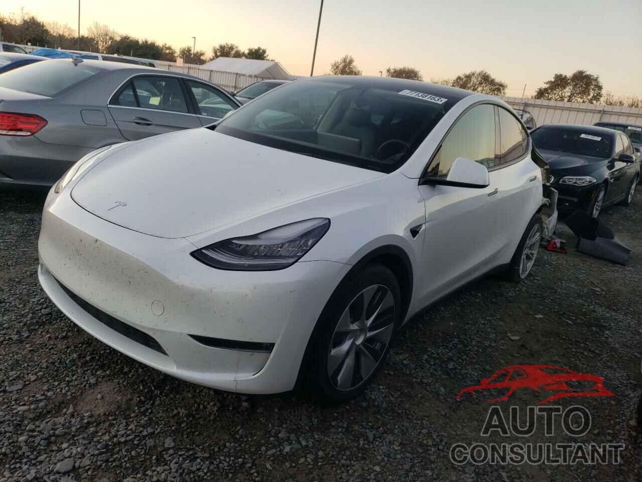 TESLA MODEL Y 2021 - 5YJYGDEE9MF095059