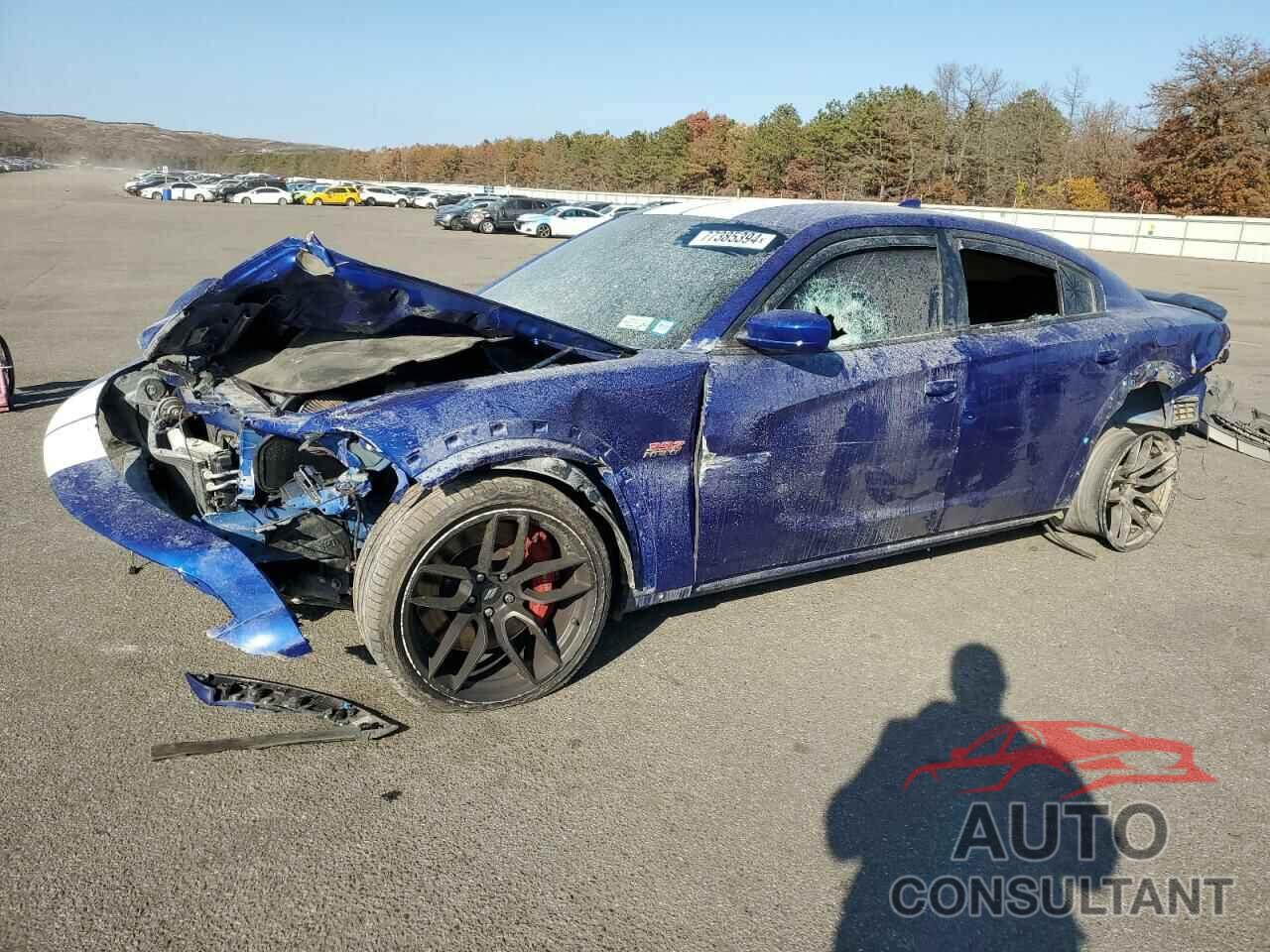 DODGE CHARGER 2020 - 2C3CDXGJ9LH244176
