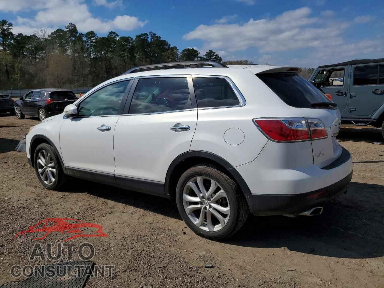MAZDA CX-9 2011 - JM3TB2DA5B0300276