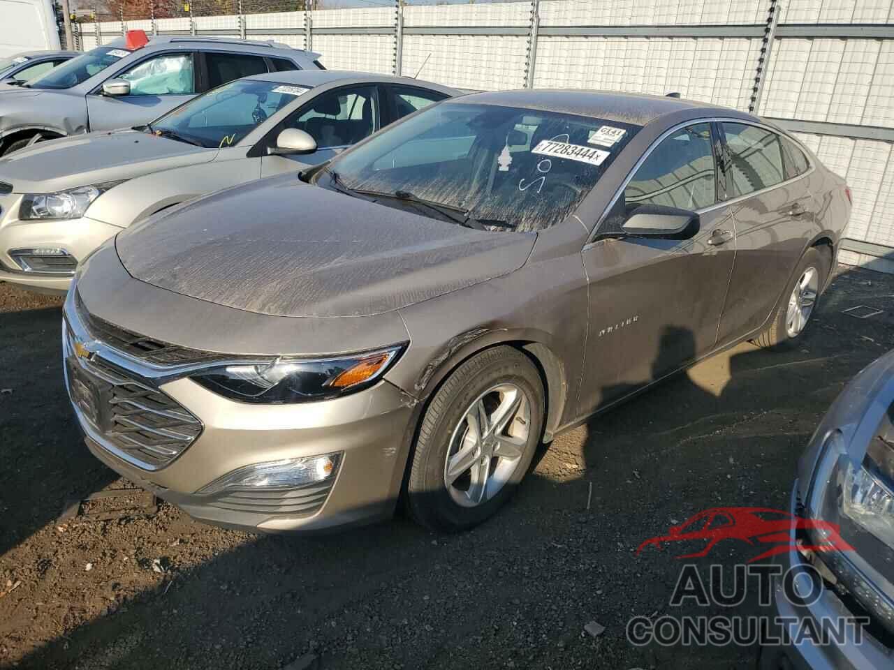 CHEVROLET MALIBU 2023 - 1G1ZC5STXPF121167