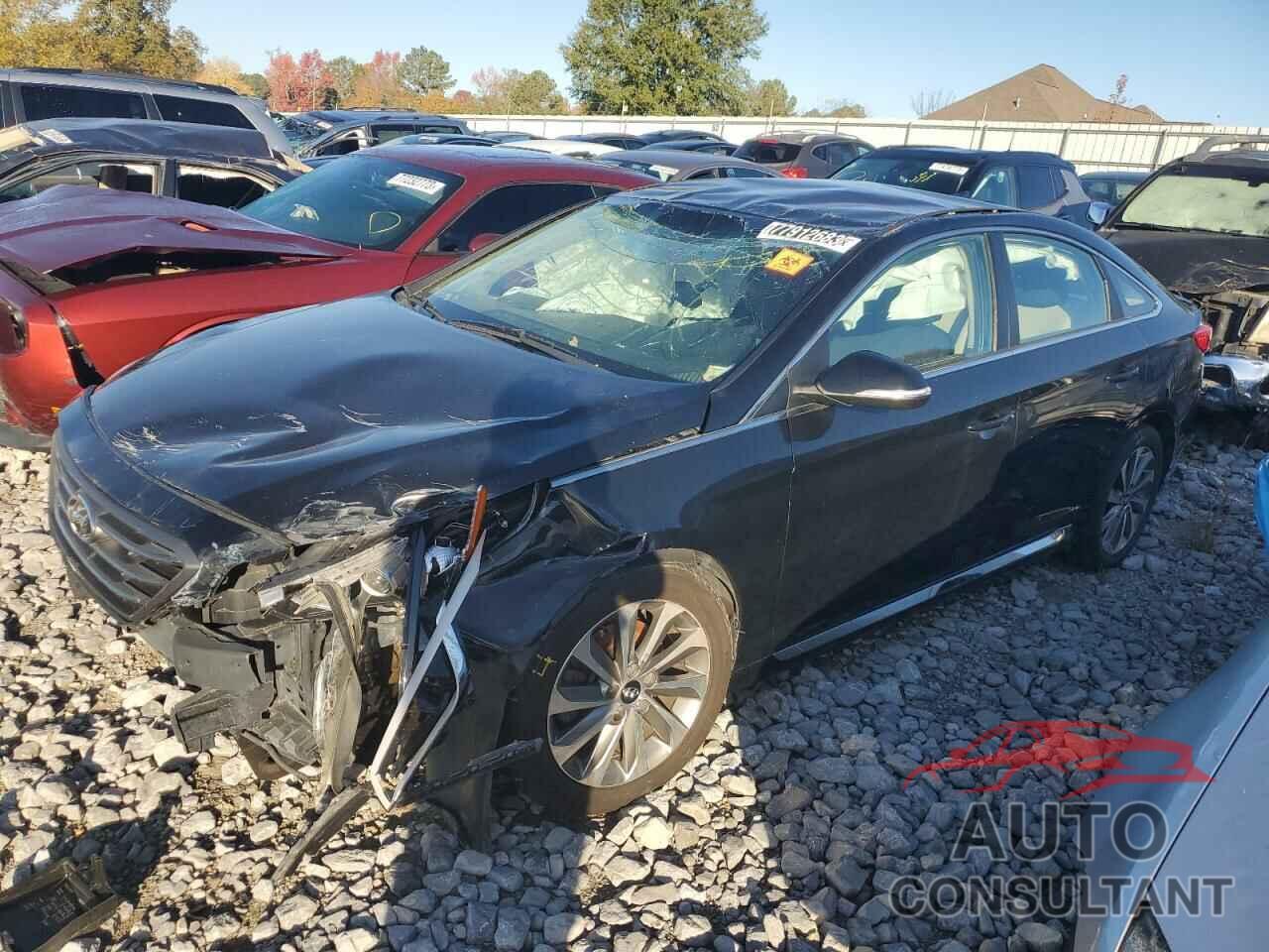 HYUNDAI SONATA 2017 - 5NPE34AF5HH439359