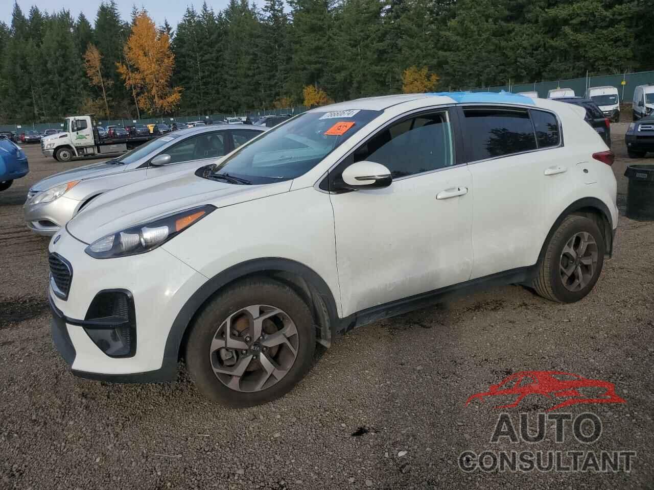KIA SPORTAGE 2020 - KNDPM3AC2L7822341