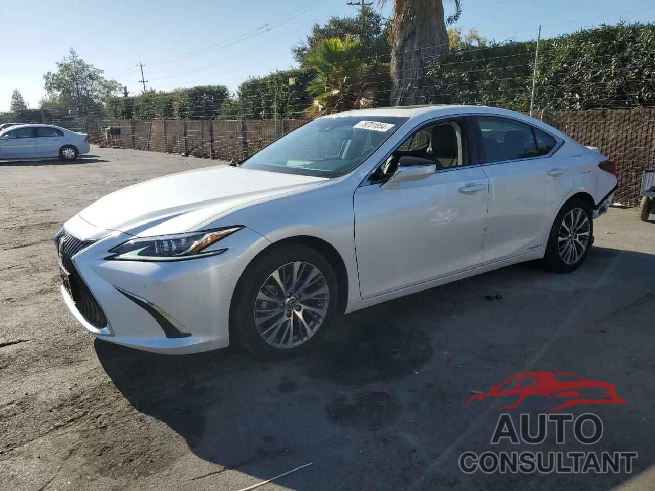 LEXUS ES300 2021 - 58ADA1C13MU005124