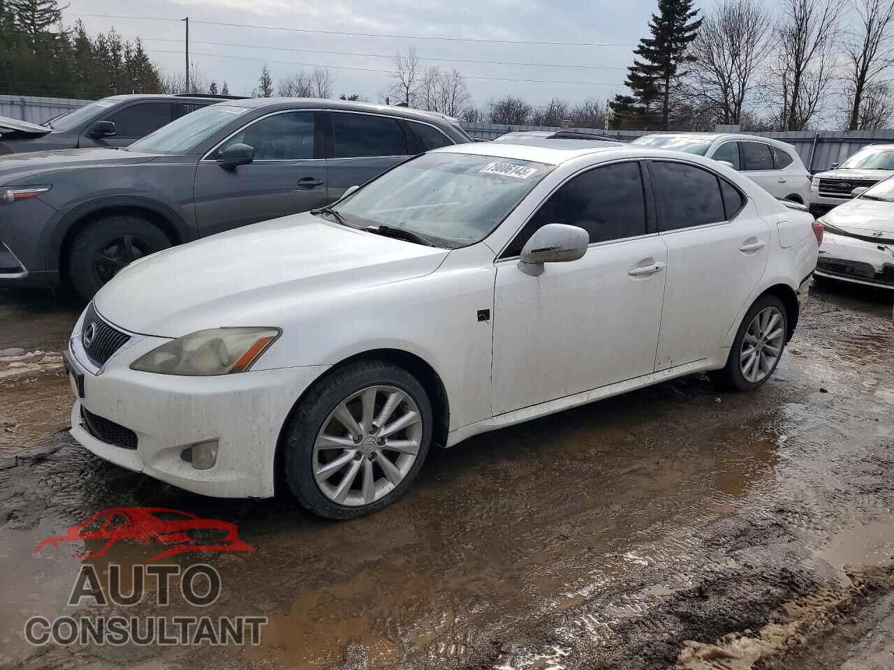 LEXUS IS 250 2010 - JTHCF5C29A5036374